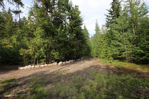 854 Alexander Road, Nakusp, BC 