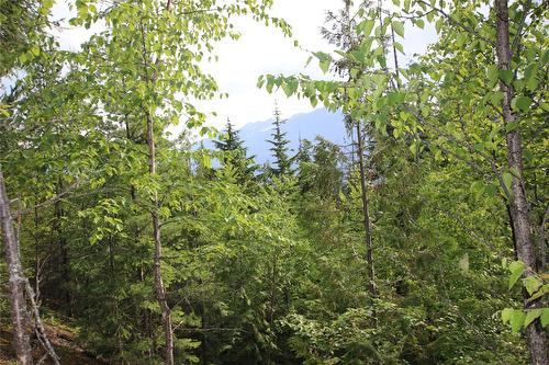 854 Alexander Road, Nakusp, BC 