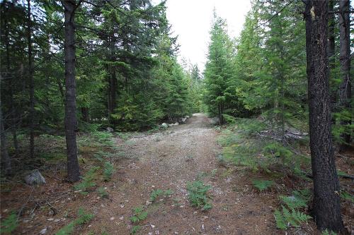 854 Alexander Road, Nakusp, BC 