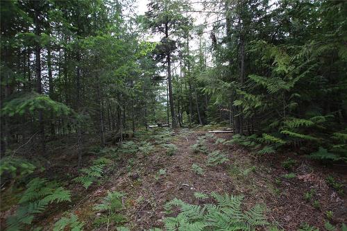 854 Alexander Road, Nakusp, BC 