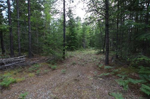 854 Alexander Road, Nakusp, BC 