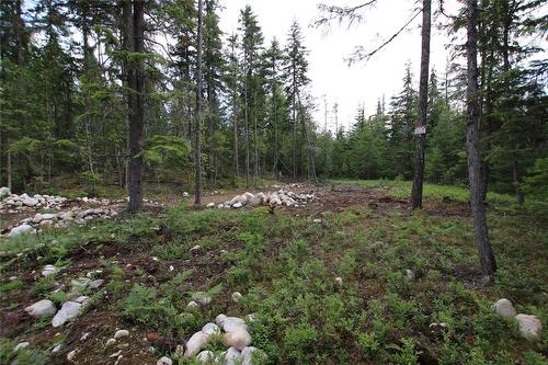 854 Alexander Road, Nakusp, BC 