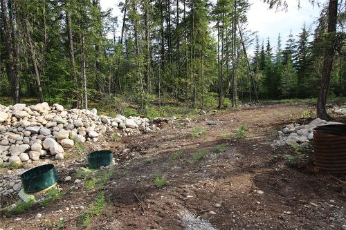 854 Alexander Road, Nakusp, BC 