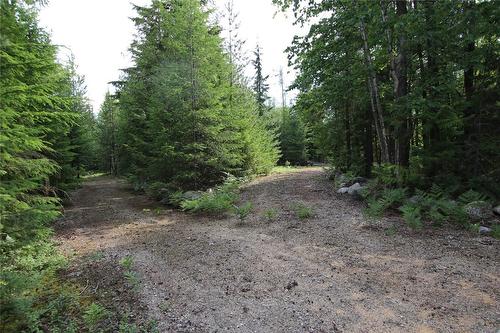 854 Alexander Road, Nakusp, BC 