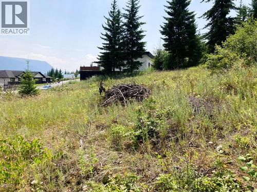 2555 Highlands Drive, Blind Bay, BC 