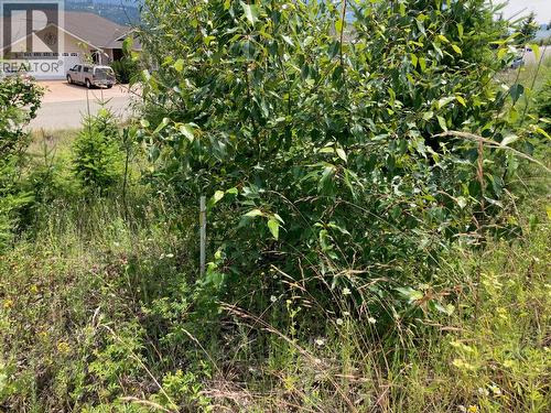 2555 Highlands Drive, Blind Bay, BC 