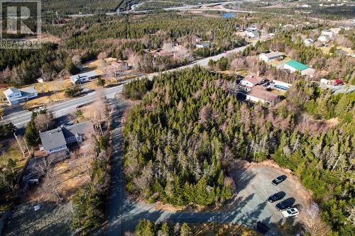 15 Evelyn Place, St. John'S, NL 