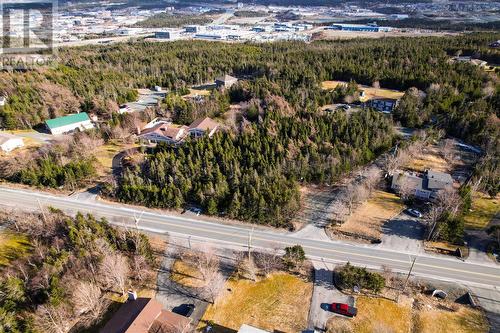 15 Evelyn Place, St. John'S, NL 