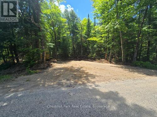 1397 Echo Ridge Road, Kearney, ON 