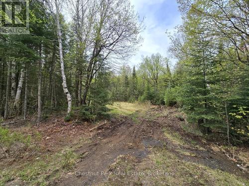 1397 Echo Ridge Road, Kearney, ON 