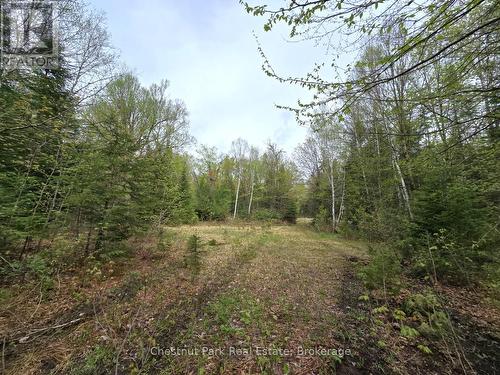 1397 Echo Ridge Road, Kearney, ON 