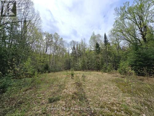 1397 Echo Ridge Road, Kearney, ON 