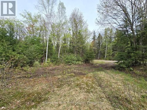 1397 Echo Ridge Road, Kearney, ON 