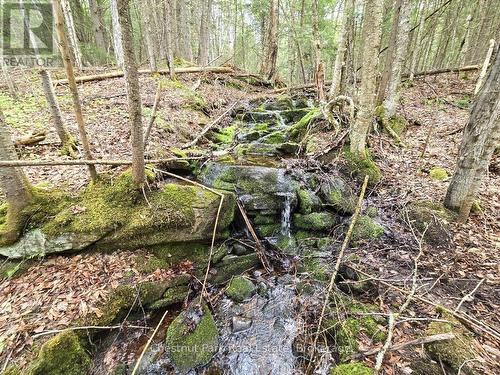 1397 Echo Ridge Road, Kearney, ON 