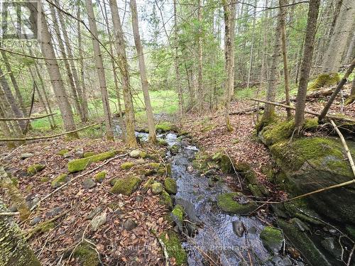 1397 Echo Ridge Road, Kearney, ON 