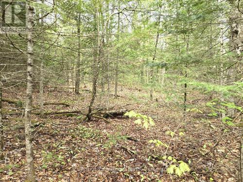 1397 Echo Ridge Road, Kearney, ON 