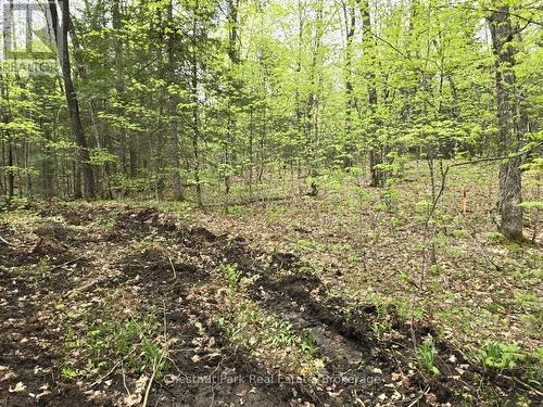 1397 Echo Ridge Road, Kearney, ON 