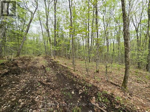 1397 Echo Ridge Road, Kearney, ON 