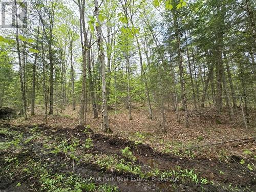 1397 Echo Ridge Road, Kearney, ON 