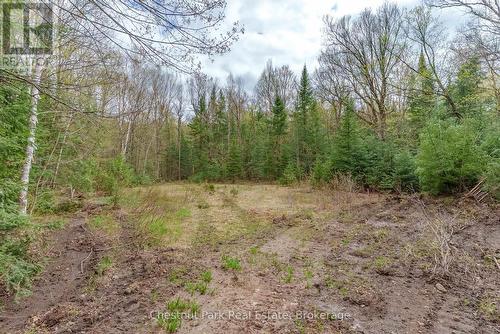 1397 Echo Ridge Road, Kearney, ON 