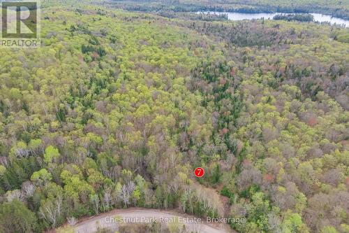 1397 Echo Ridge Road, Kearney, ON 