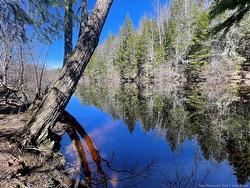 lot Route 126  Rogersville, NB E4Y 2N8