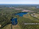 Lots Isadore Thibeau Road, Concession, NS 