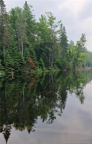 50.3 Acres Centenaire St, Lorne, NB 