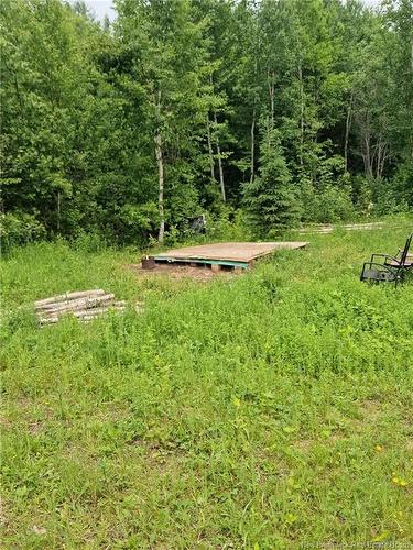 50.3 Acres Centenaire St, Lorne, NB 