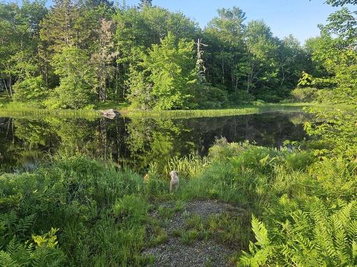 54 Scott'S Drive, Summerville, NS 