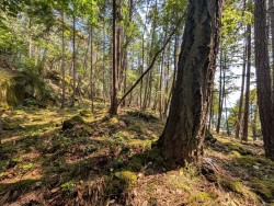 Lot 108 Herring Hts  Mudge Island, BC V9X 1P7