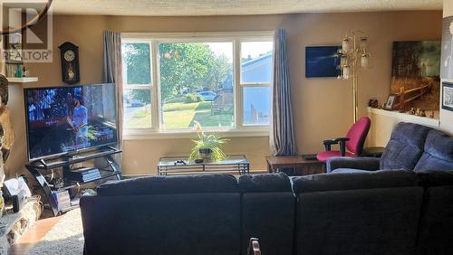 94 Hamlyn Road, St. John'S, NL - Indoor Photo Showing Living Room