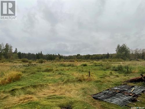 Picard Acreage, Paddockwood Rm No. 520, SK - Outdoor With View