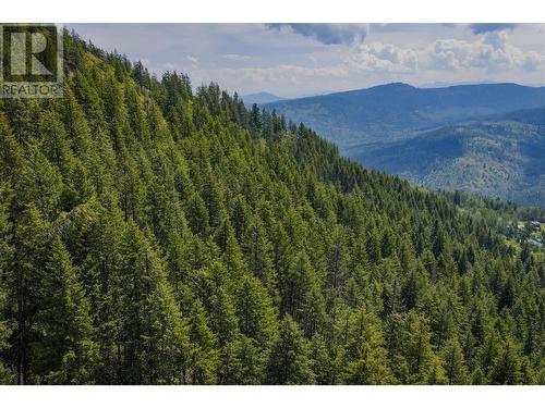 Parcel A Columbia-Kootenay Road, Rossland, BC 