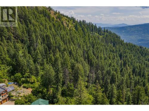 Parcel A Columbia-Kootenay Road, Rossland, BC 