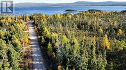 Lot 70 Kellys Point  Howley, NL A0K 3E0