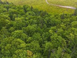 Land Sherbrooke Road  Moose River, NS B2H 5C8