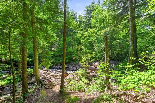 Autre - 48 Ch. Williams, Gore, QC - Outdoor