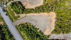 90 Amber Drive  Whitbourne, NL A0B 0C2