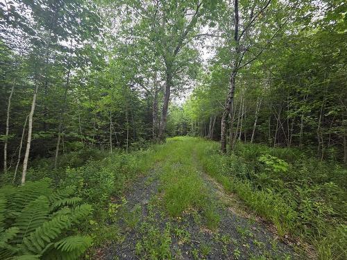 Clark Road, Bear River, NS 