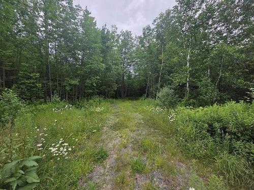 Clark Road, Bear River, NS 