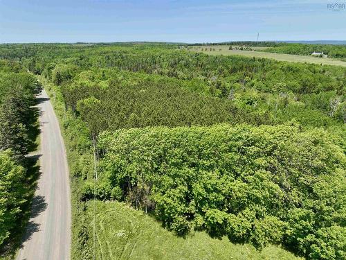 Clark Road, Bear River, NS 