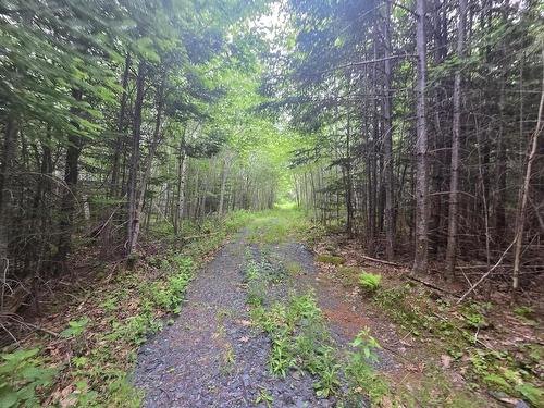 Clark Road, Bear River, NS 