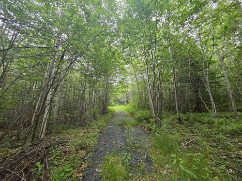 Clark Road, Bear River, NS 