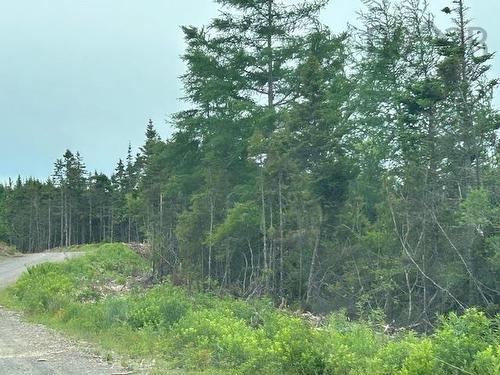 Salmon River Road, West L'Ardoise, NS 