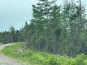 Salmon River Road, West L'Ardoise, NS 