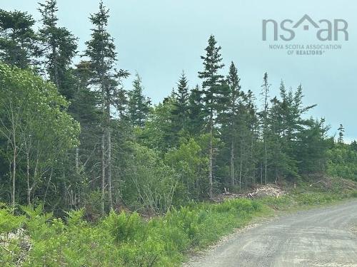Salmon River Road, West L'Ardoise, NS 