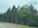 Salmon River Road, West L'Ardoise, NS 