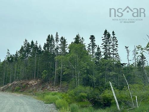 Salmon River Road, West L'Ardoise, NS 