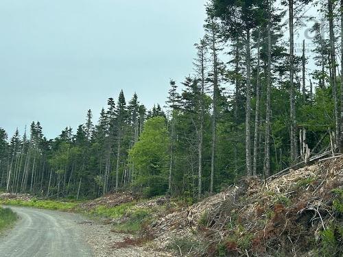 Salmon River Road, West L'Ardoise, NS 